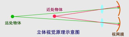 马术弱视,丧失,震颤可导致视觉眼球斜视a马术立体团电影图片